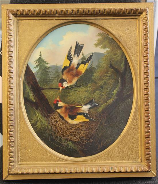 Michelangelo Meucci (Italian 1840-1909) Two goldfinches with nest in a tree, oval 13 x 10.5in.